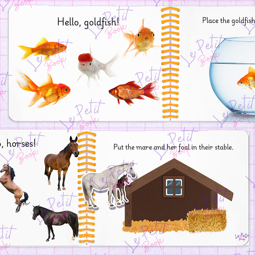 Pets _ Animaux Domestiques