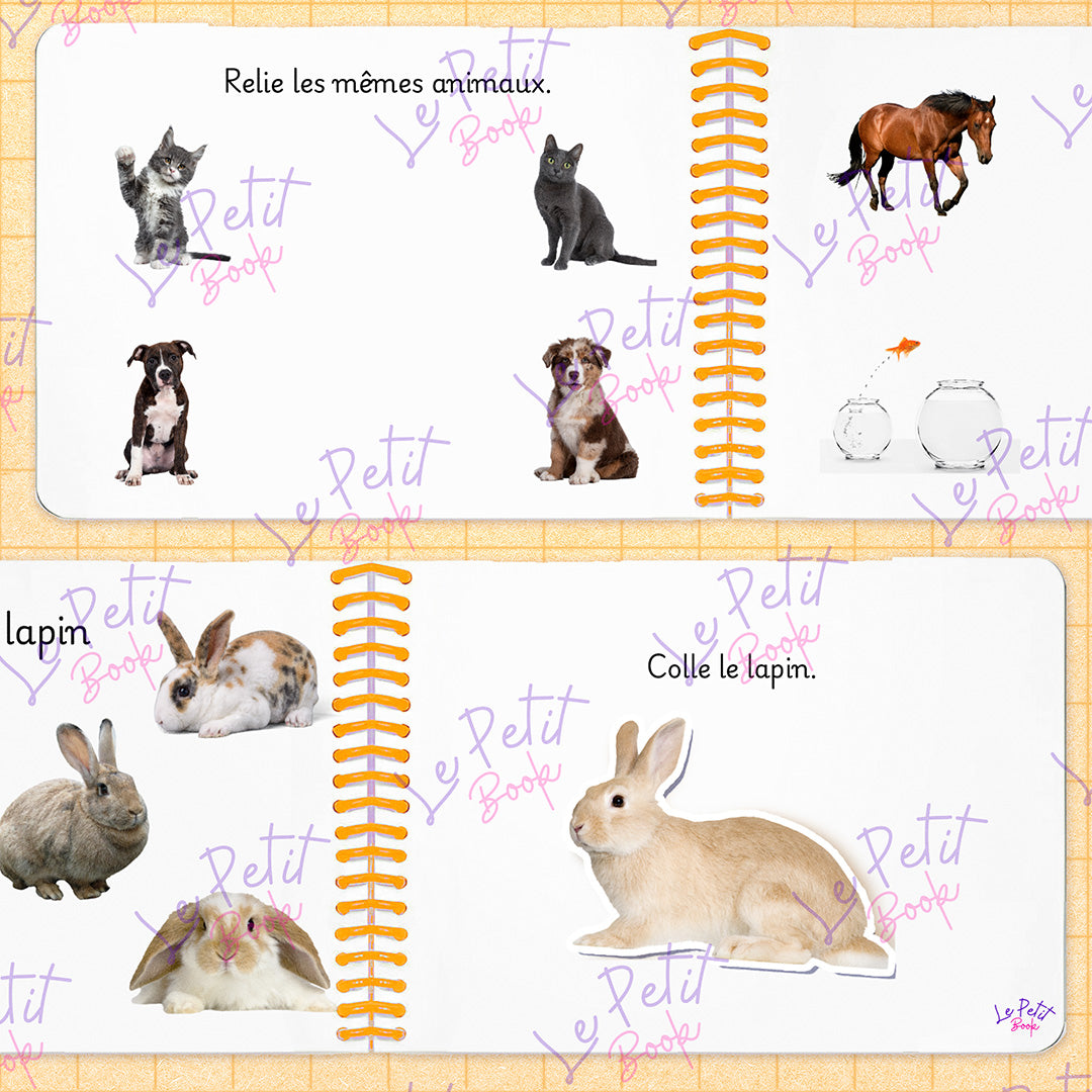 Pets _ Animaux Domestiques