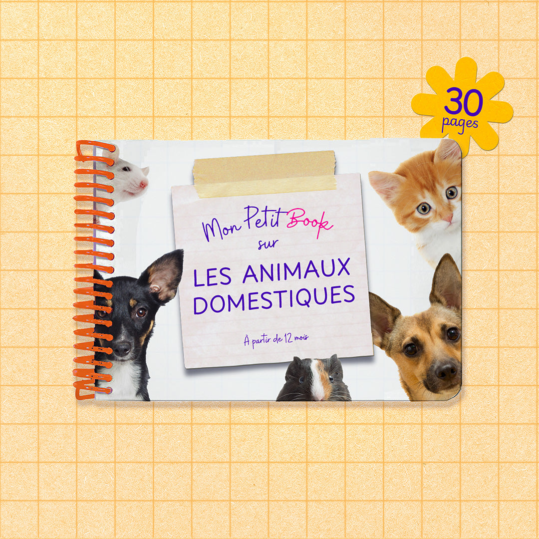 Pets _ Animaux Domestiques